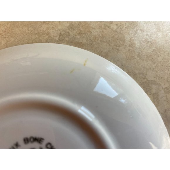 Phoenix Bone China England Painted Flowers Tea Cup And Saucer Set - Picture 10 of 10